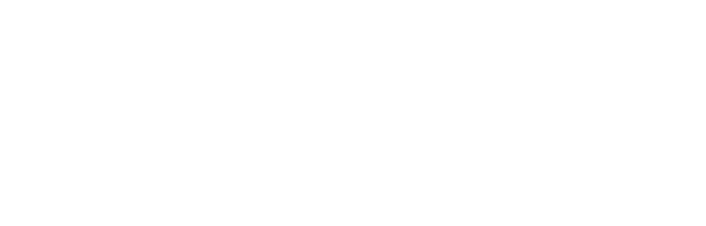 CTO IV Professional Services